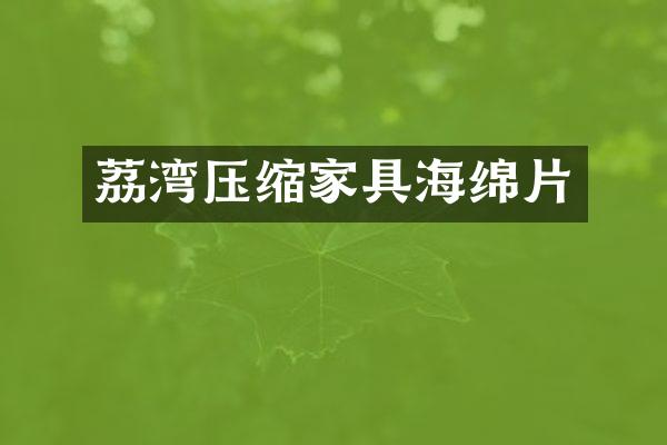 荔湾压缩家具海绵片