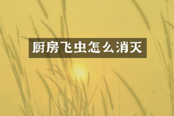 厨房飞虫怎么消灭