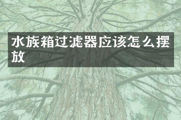 水族箱过滤器应该怎么摆放
