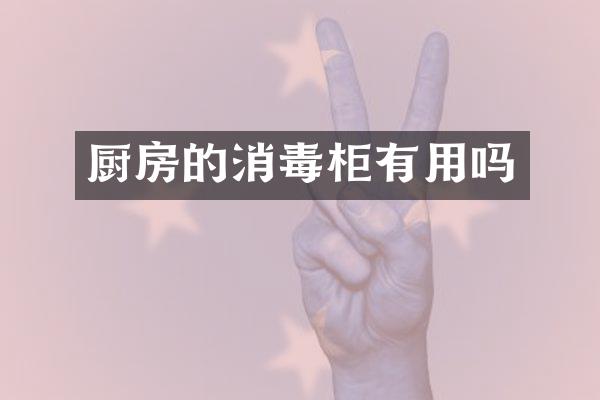 厨房的消毒柜有用吗