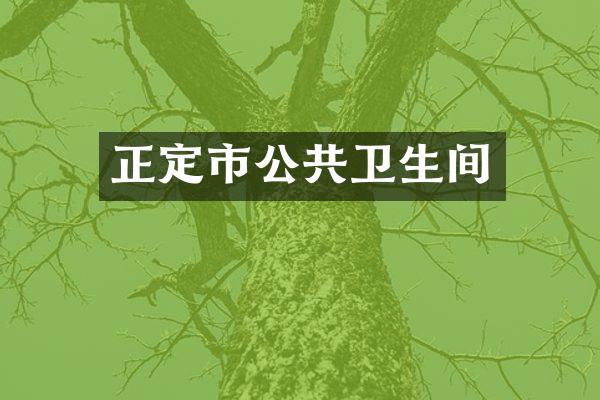 正定市公共卫生间