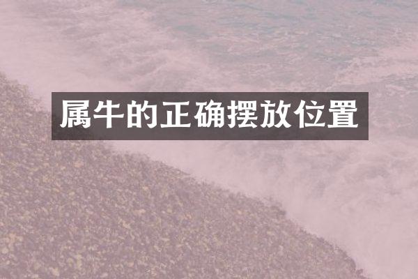 属牛的正确摆放位置