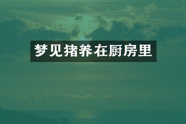 养在厨房里
