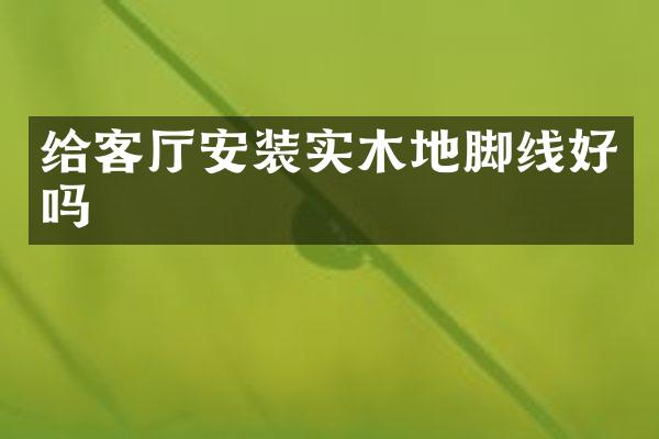 给客厅安装实木地脚线好吗