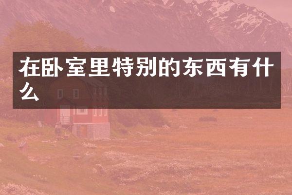 在卧室里特别的东西有什么