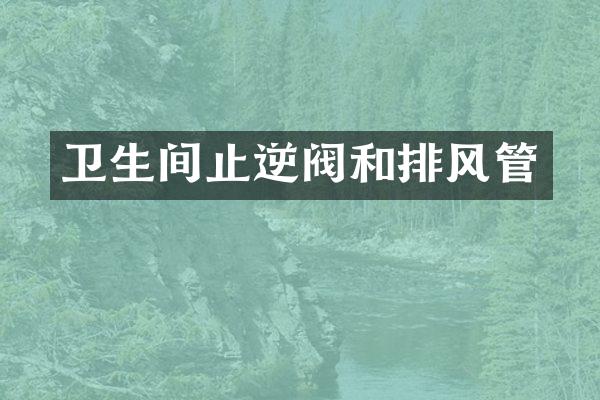 卫生间止逆阀和排风管