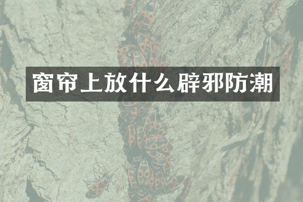 窗帘上放什么防潮