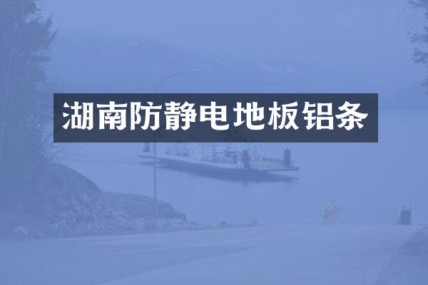 湖南防静电地板铝条