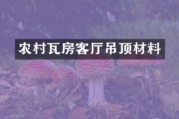 农村瓦房客厅吊顶材料