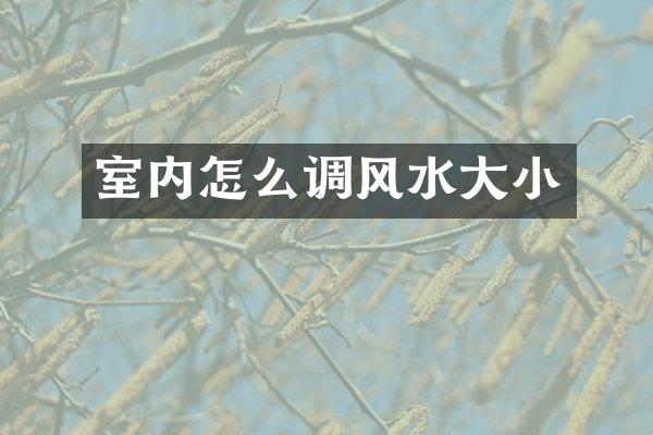 室内怎么调风水大小