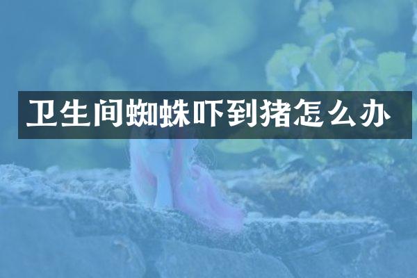 卫生间蜘蛛吓到猪怎么办