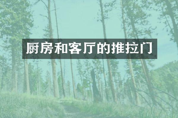 厨房和客厅的推拉门