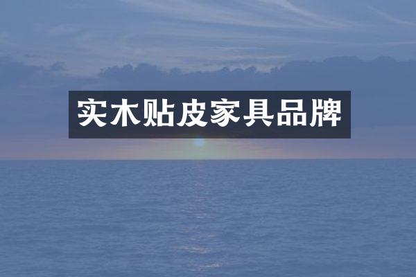 实木贴皮家具品牌