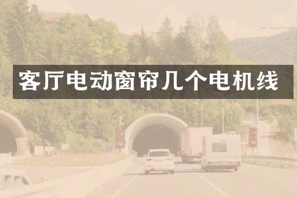 客厅电动窗帘几个电机线