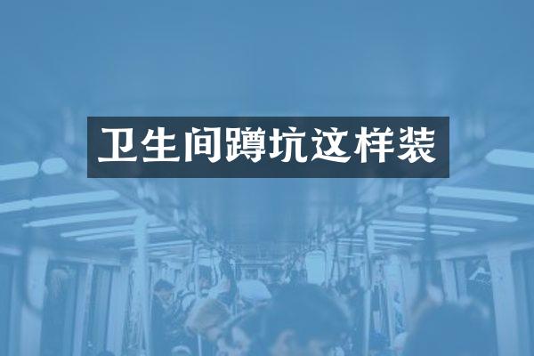 卫生间蹲坑这样装