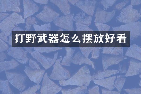 打野武器怎么摆放好看