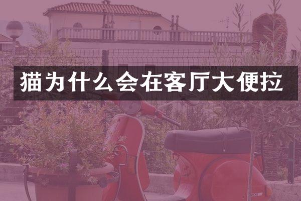 猫为什么会在客厅大便拉