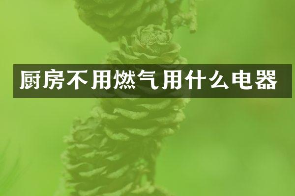 厨房不用燃气用什么电器