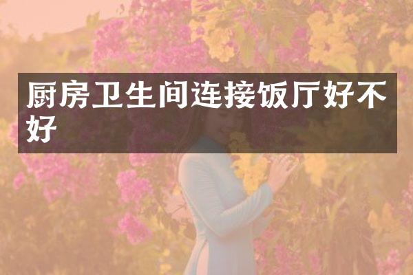 厨房卫生间连接饭厅好不好