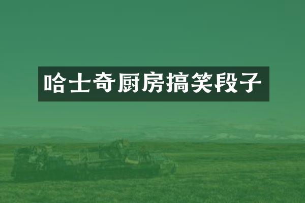 哈士奇厨房搞笑段子