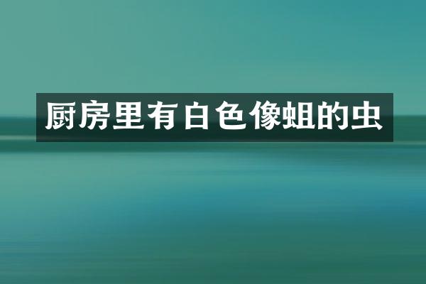 厨房里有白色像蛆的虫