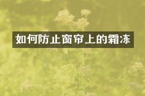 如何防止窗帘上的霜冻