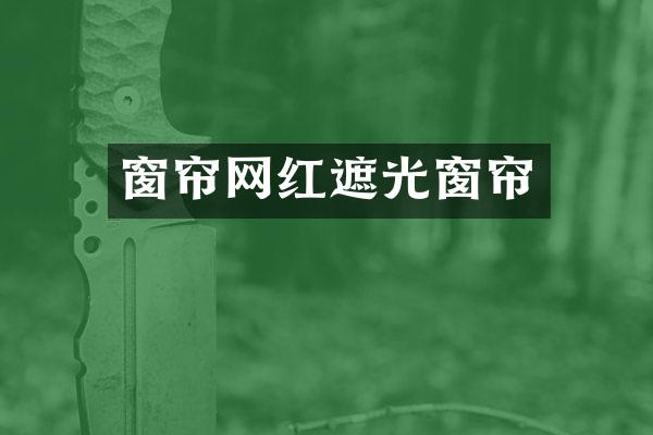 窗帘网红遮光窗帘