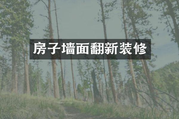 房子墙面翻新装修