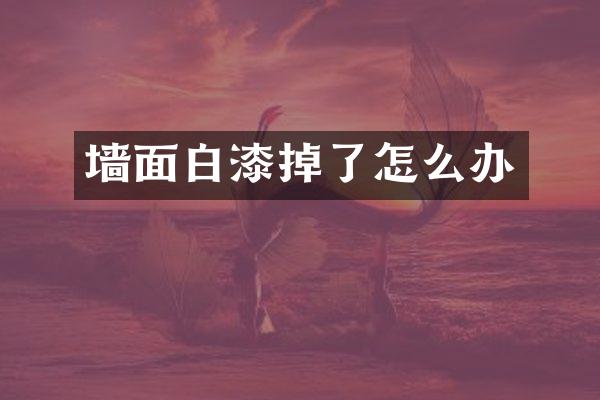 墙面白漆掉了怎么办