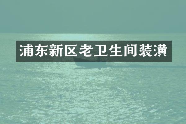 浦东新区老卫生间装潢