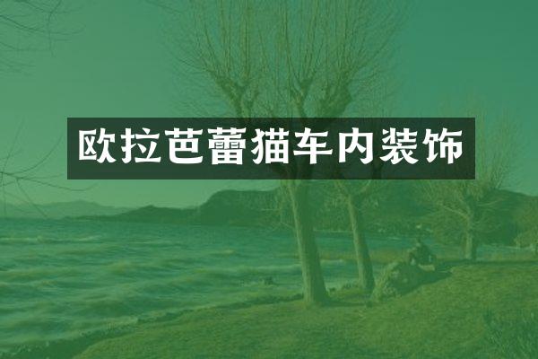 欧拉芭蕾猫车内装饰