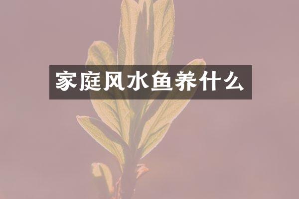家庭风水鱼养什么