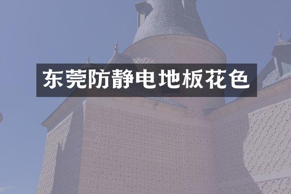 东莞防静电地板花色