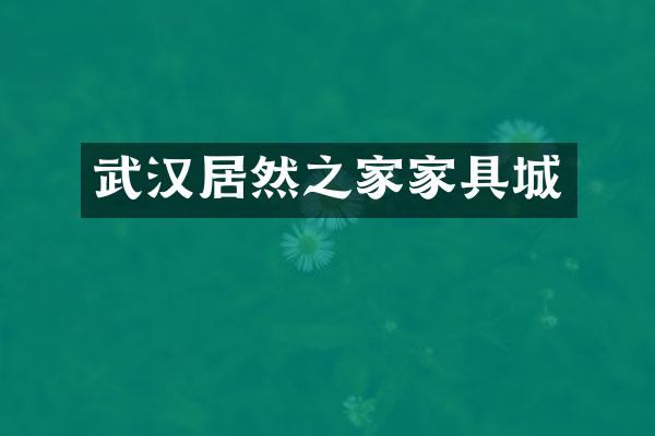 武汉居然之家家具城