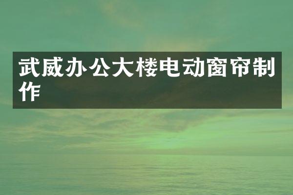 武威办公大楼电动窗帘制作