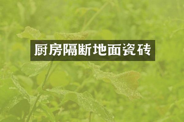 厨房隔断地面瓷砖