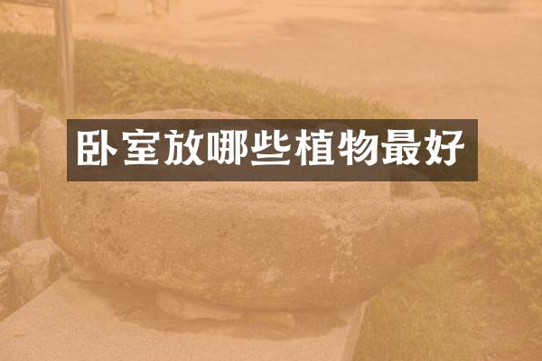 卧室放哪些植物最好
