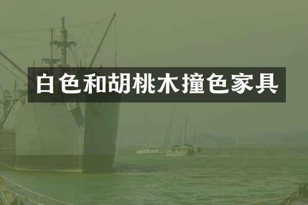 白色和胡桃木撞色家具