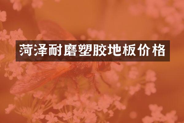 菏泽耐磨塑胶地板价格