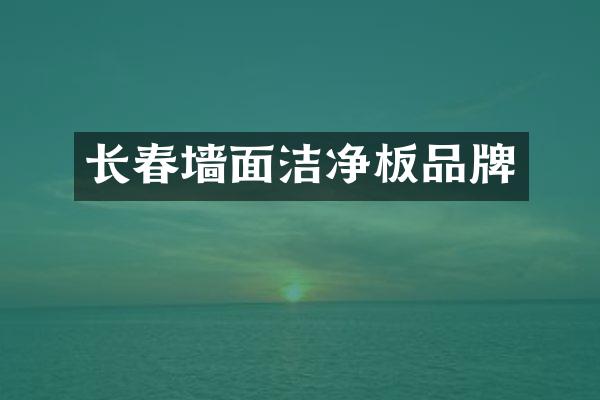 长春墙面洁净板品牌