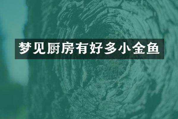 梦见厨房有好多小金鱼