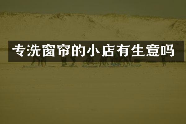专洗窗帘的小店有生意吗