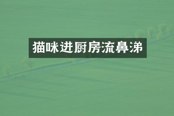 猫咪进厨房流鼻涕