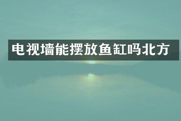 电视墙能摆放鱼缸吗北方