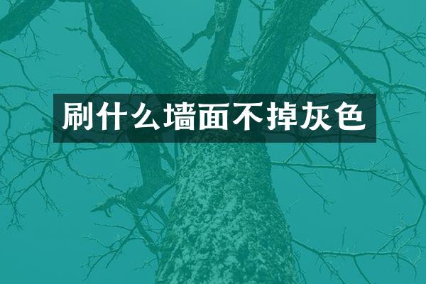 刷什么墙面不掉灰色