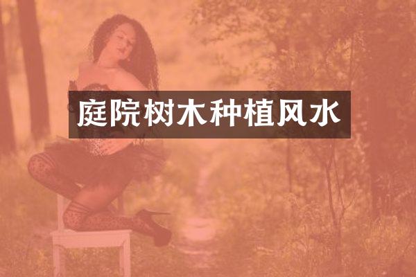 庭院树木种植风水