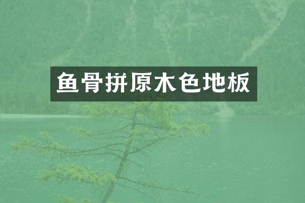 鱼骨拼原木色地板