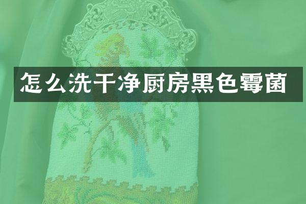 怎么洗干净厨房黑色霉菌