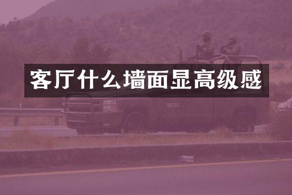 客厅什么墙面显高级感