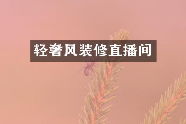 轻奢风装修直播间